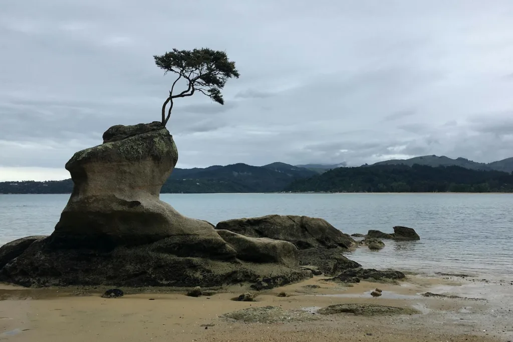 Abel Tasman: Day Walks and Water Taxis