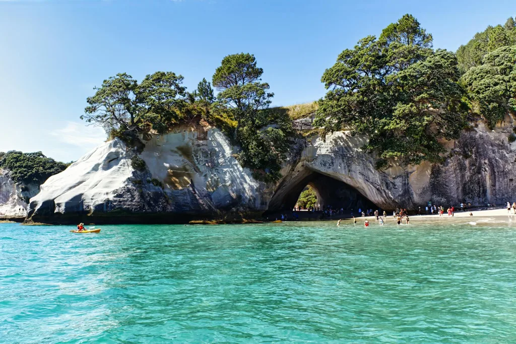 Best Hospitality &amp; Tourism Jobs in New Zealand 2026 for Migrants