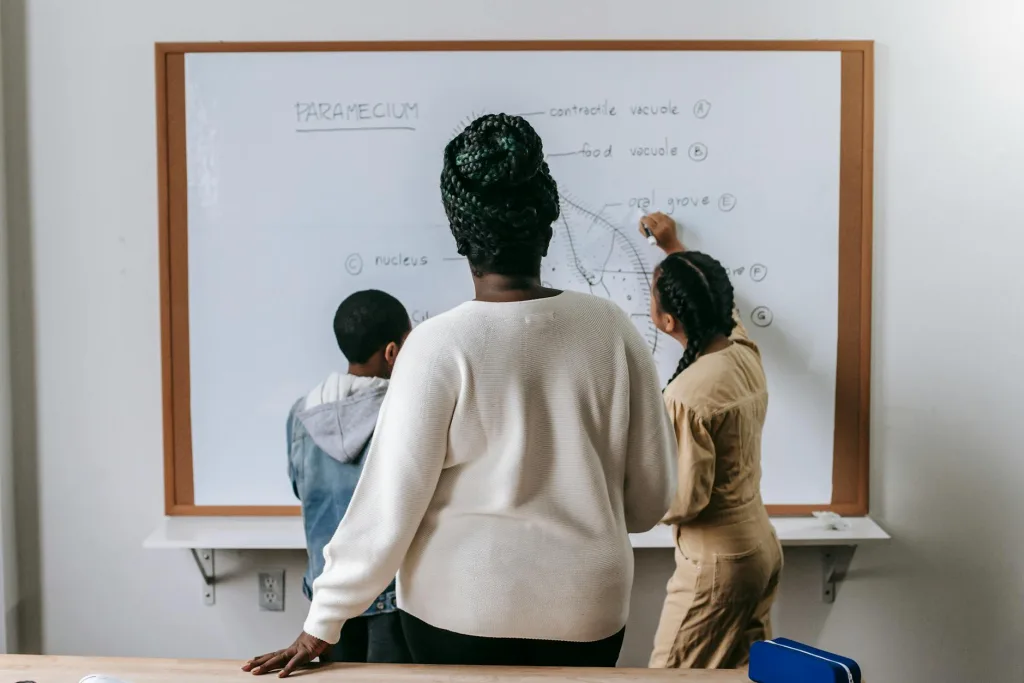 Best Secondary Schools in Auckland: A 2026 Guide