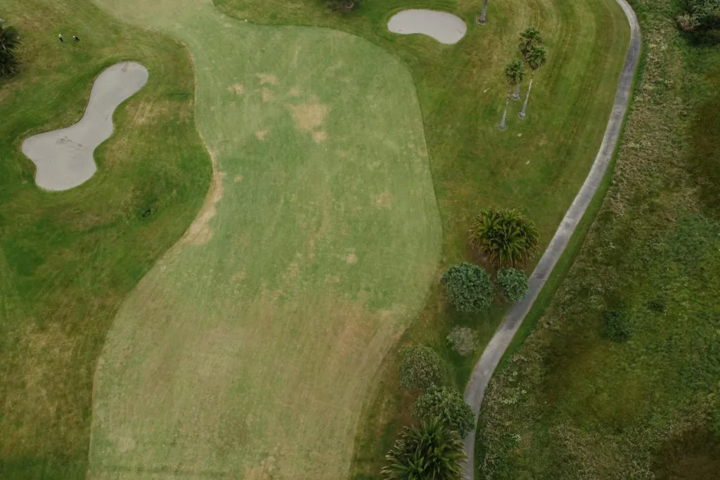 Best Study‑to‑Work Courses 2026: New Zealand TVET and PGDip Pathways