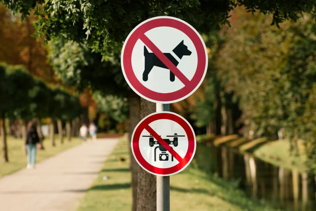 Dangerous Dog Classifications NZ: Rules Explained