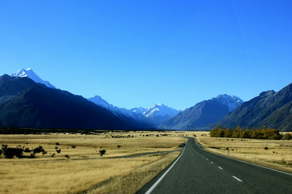 Driving in New Zealand: Road Rules, Safety Tips and Scenic Routes for Visitors