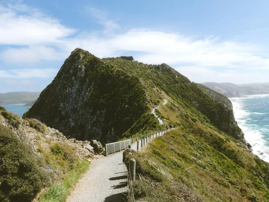Dunedin & Otago Peninsula: Wildlife, Historic Sites and Coastal Scenery