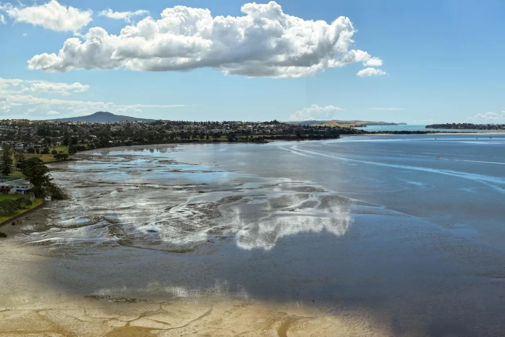 Finding a Tradie NZ: How to Choose and What to Pay