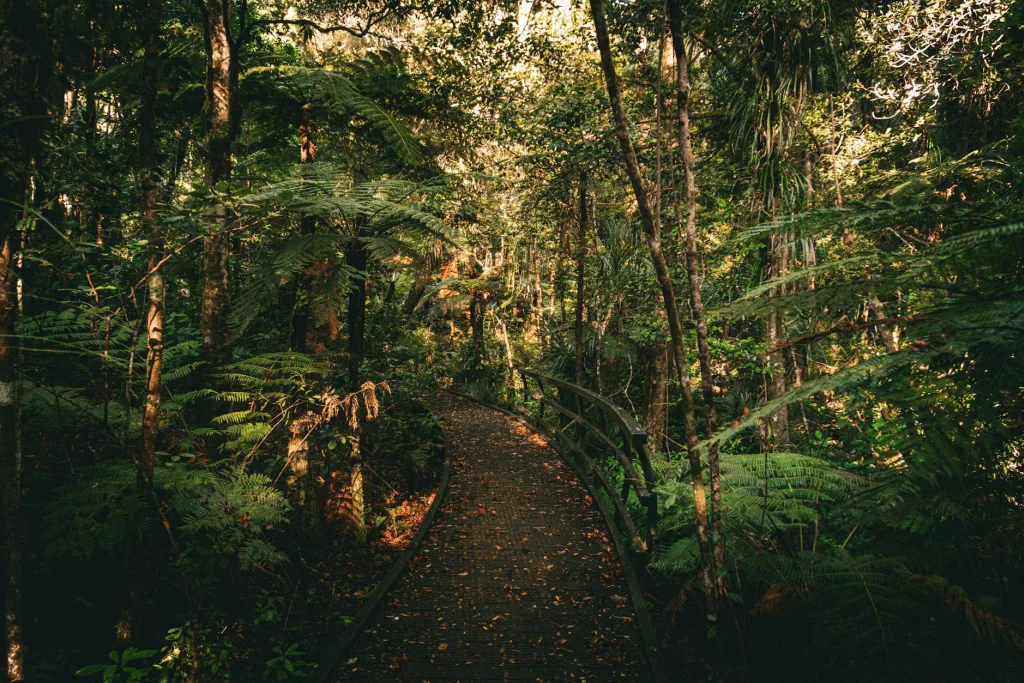 Hidden Gems in New Zealand: Underrated Towns, Trails and Experiences Locals Love