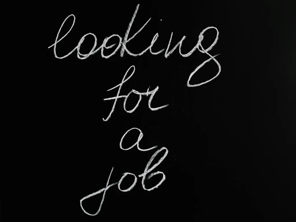 How to Use Seek NZ Properly: Saved Searches, Alerts and Job Profile Tips