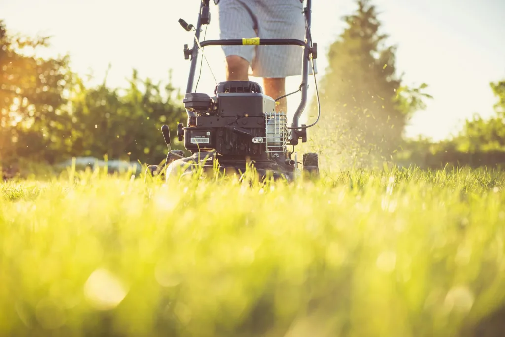 Lawn Care NZ: Seasonal Maintenance Guide