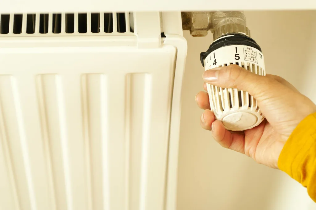 Panel Heaters: Efficient Heating for Kiwi Winters