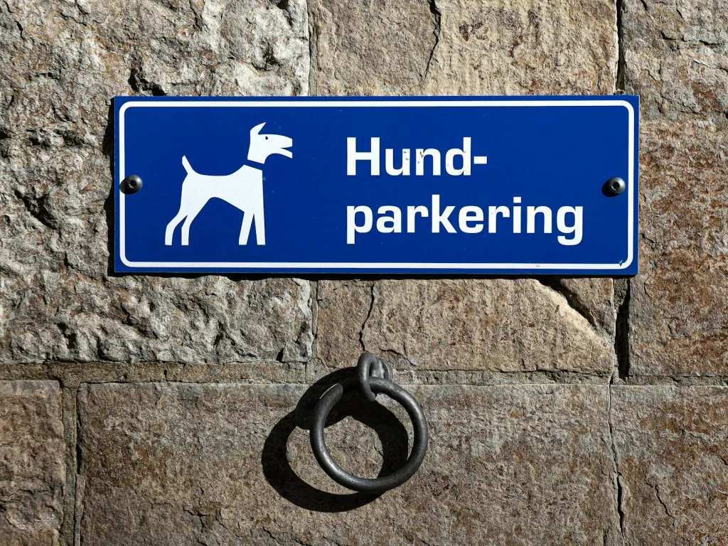 Pet-Friendly Accommodation NZ: Region Guide