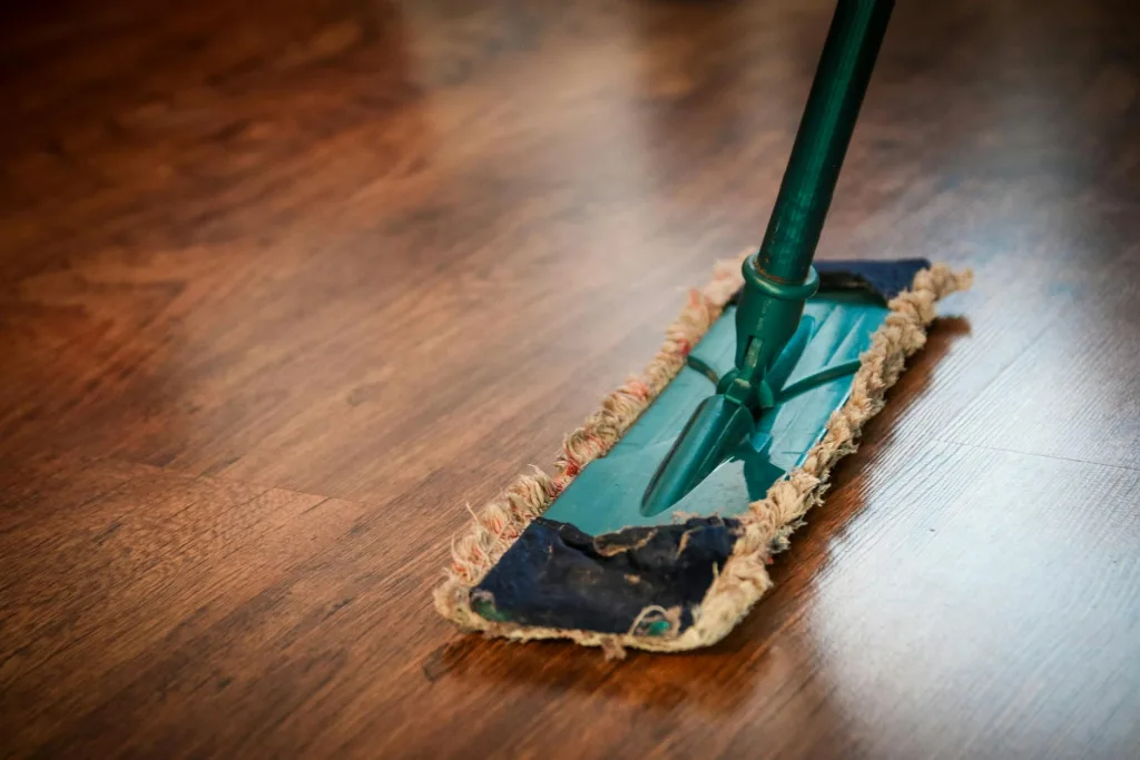 Steam Mops: Chemical-Free Floor Cleaning