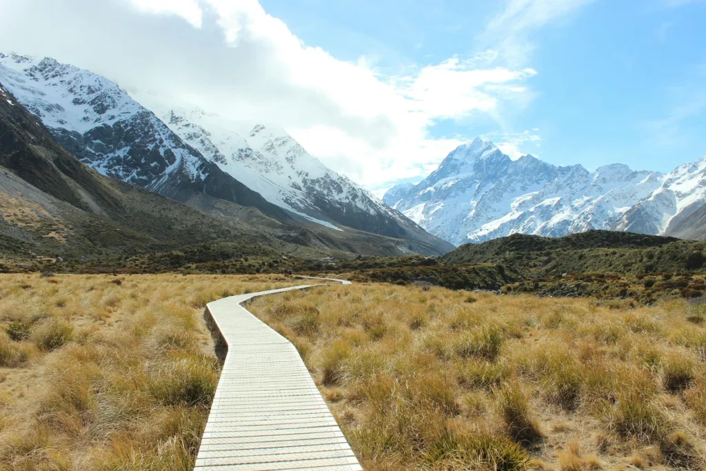 Top Day Hikes in the South Island (Roy’s Peak, Hooker Valley, Ben Lomond etc.)
