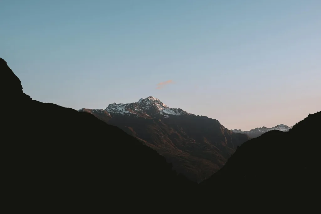 Understanding New Zealand’s Biosecurity Rules: What You Can and Can’t Bring In